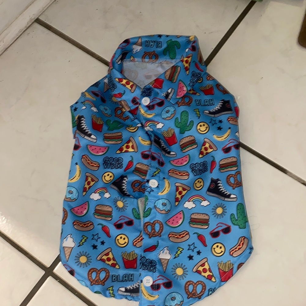 Small collared dog button down